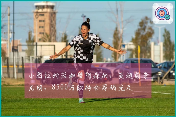 小图拉姆若加盟阿森纳，英超前景光明，8500万欧转会筹码充足