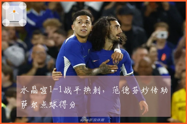 水晶宫1-1战平热刺，范德芬妙传助萨尔点球得分
